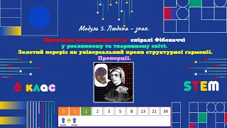 Приклади послідовності та спіралі Фібоначчі у рослинному та тваринному світіЗолотий перерізПропорції