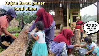 HUJAN DERAS,PANEN HASIL ALAM ALHAMDULILLAH MELIMPAH