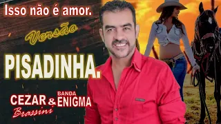 CEZAR BRASSINI E BANDA ENIGMA -  Isso Não é Amor (Versão Pisadinha)