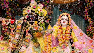 The Alluring Pastel Shade Floral Outfit for the Lordships in Sridham Mayapur