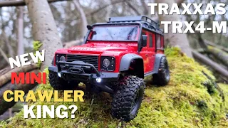 The BEST Mini Crawler? - Traxxas TRX4M Review & First Run - 1/18 Scale Mini Crawler