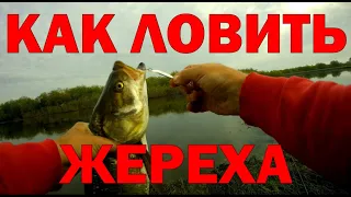 ЖЕРЕХ / КАК ЖЕ ЛОВИТЬ ЖЕРЕХА? #рыбалка #ловляжереха #жерех