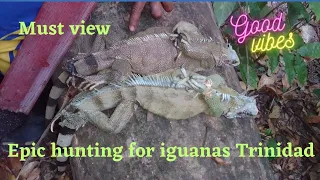 epic iguana hunting mayaro Trinidad #adventure #hunting #trinidad