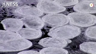 Ice pancakes, anyone?