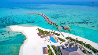 Cocoon Maldives Resort