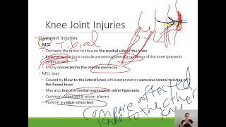 Clinical Anatomy Lower Extremity: Knee Joint Injuries