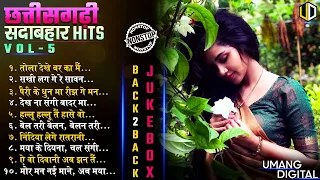Chhattisgarhi Sadabahar BlockBuster Hits Part-3 | Back To Back JukeBox | छत्तीसगढ़ी सदाबहार गीत