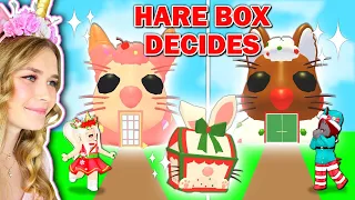 *NEW* Hare Box DECIDES What We BUILD In Adopt Me! (Roblox)