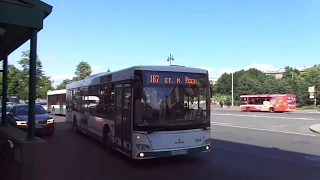 Автобус Санкт-Петербурга 9-531: МАЗ-203.085 б.8144 по №187 (29.06.19)