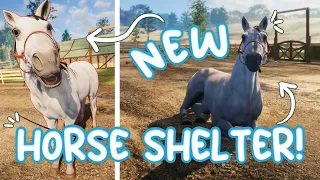 NEW Horse Rescue Game! 🐴 Animal Shelter Simulator