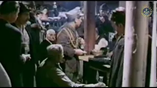 PĂDUREA PIERDUTĂ (1971) - film în regia Andrei Blaier