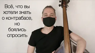 Все, что вы хотели знать о контрабасе, но боялись спросить