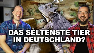 Das seltenste Haustier in Deutschland? 😱 .. AQUARIEN & TERRARIEN von Sven