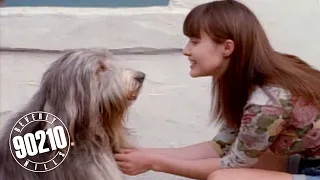 Brenda Takes in a Stray Dog!