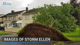 Images of Storm Ellen