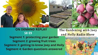 audio S8E9 Protecting your garden, fruit trees, behind the host what they do, The Garden Radio Show