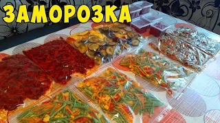 Заморозка ОВОЩЕЙ, ФРУКТОВ и ЯГОДЫ на зиму Часть 4