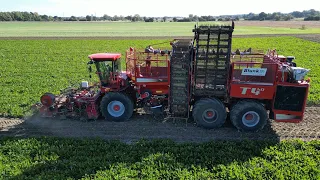 HOLMER TERRA DOS T4-40 bei der Rübenernte 2023 / Abfahrer FENDT 828 & FENDT 724 / Blunk / 4K