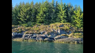 Шестая рыбалка в Норвегии. Поехала сама, снимаю все!По 4 скумбрии сразу!!!  Wild Fishing Norway.