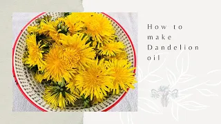 Dandelion oil- how to make it