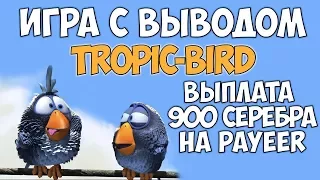 🔴Игра с выводом денег без баллов Tropik Birds