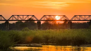 African bush sounds | Sabie River #2, Kruger National Park, South Africa- Night safari sounds 🌍 121