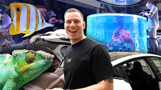 Die volle Packung AQUARISTIK!!! - 30 Tage Neytrop Vlog 🐠