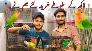 Humnay itnay sary totay kiyun le liye? | love birds ❤️