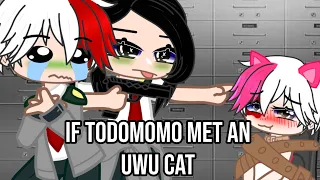 if todomomo met " UwU Cat todoroki " || ft momo yaoyorozu & shoto todoroki || todomomo || mha / bnha