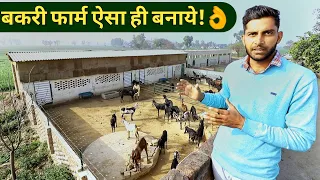 मॉडर्न बकरी फार्म ऐसे बनाये|How to Make/Start Goat Farm in hindi|Shed design India 9350146903