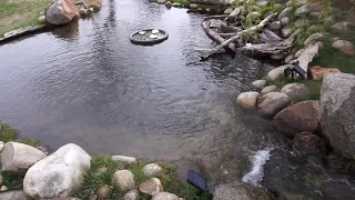 How my backyard Trout Pond is designed