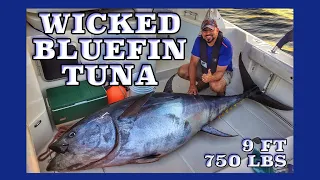 750 Pound Giant Bluefin Tuna Landed