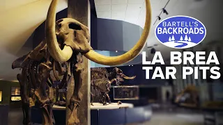 The hidden beasts preserved in LA's La Brea Tar Pits | Bartell's Backroads