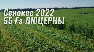 Сенокос 2022. Продолжаем работать 55 Га Люцерны.