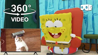 SpongeBob reacts to funny videos | SpongeBob 360°