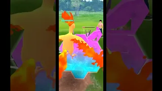 Moltres Sweeps an Entire Team in Sunshine Cup | #pokemongo #shorts #moltres #sunshinecup #short