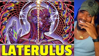 TOOL IS JUST DIFFERENT! - LATERALUS!