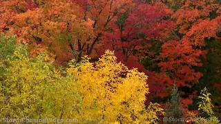 Minnesota River Valley Drought and Fall Colors Footage