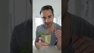 Minty Chocolate Chip Super Smoothie with Doctor Mike