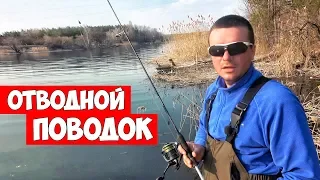 Эта снасть 100% ловит! РЫБАЛКА на ОТВОДНОЙ ПОВОДОК от А до Я