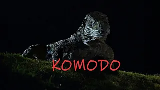 Komodo (1999) 🎞