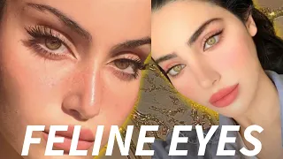 ✨I always fall for your feline eyes✨Feline eyes subliminal⚠️Extremely Powerful⚠️