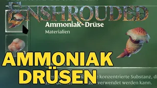 AMMONIAK-DRÜSEN FARMEN in Enshrouded - Schnell und einfach erklärt