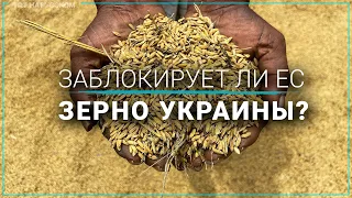 Запрет на импорт украинского зерна парализовал границы Польши