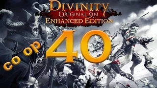 Divinity Original Sin Enhanced Edition coop part 40 Hiberheim