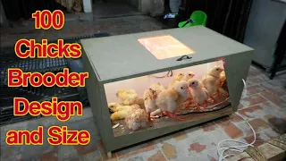 100 Chicks Brooder Design and Size!! How To design Chicks Brooder At Home By Pakaseels