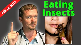 Should You Eat INSECTS? (Doctor’s Surprise Answer) 2024