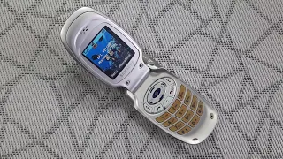 Samsung SGH-T100 Incoming Call