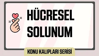 Anlatırken En Keyif Aldığım Konu : HÜCRESEL SOLUNUM