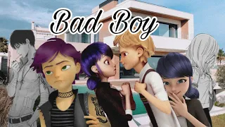 Bad Boy 1/ Miraculous Story's